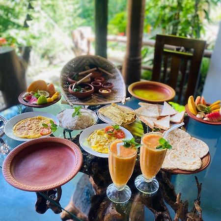 Treetops Ella Ngoại thất bức ảnh