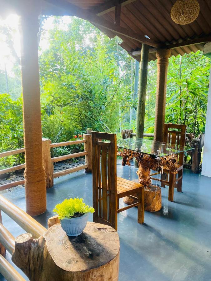 Treetops Ella Ngoại thất bức ảnh