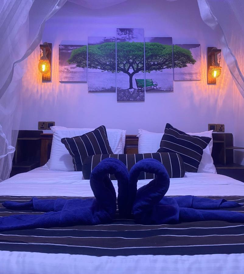 Treetops Ella Ngoại thất bức ảnh