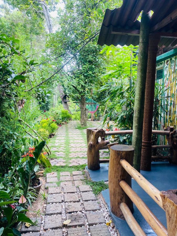 Treetops Ella Ngoại thất bức ảnh