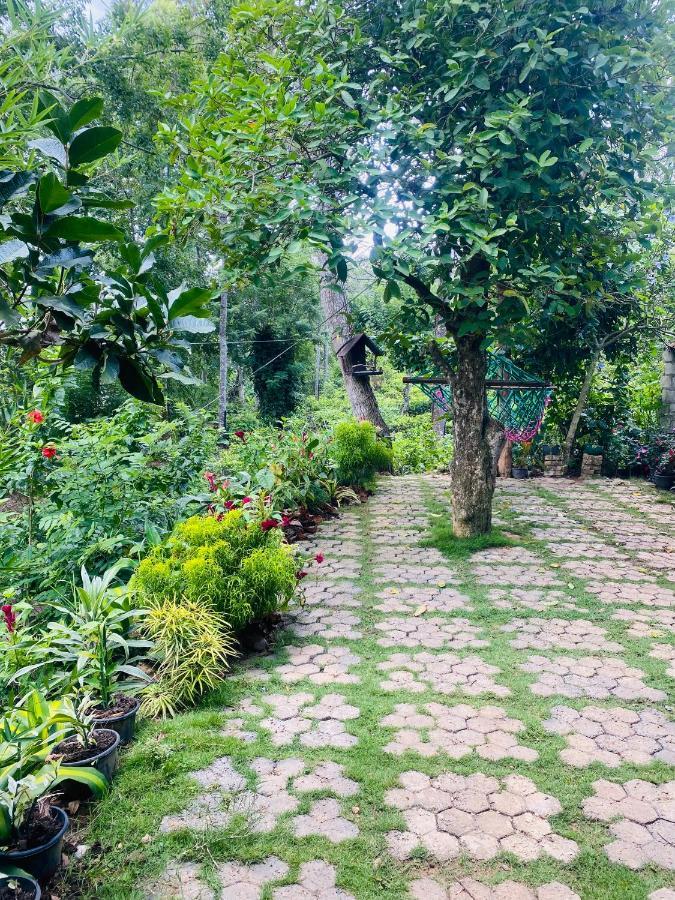 Treetops Ella Ngoại thất bức ảnh