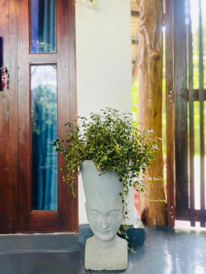 Treetops Ella Ngoại thất bức ảnh