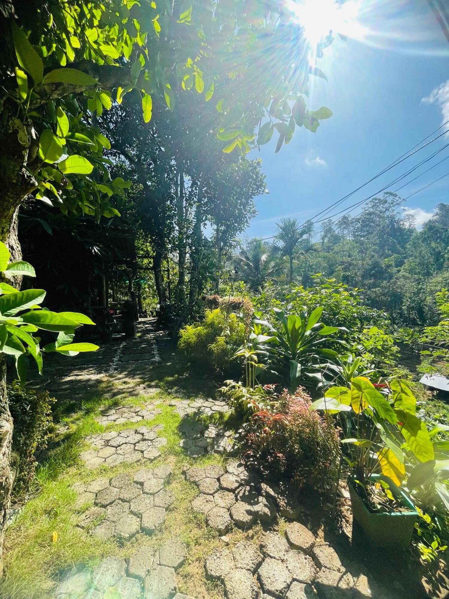 Treetops Ella Ngoại thất bức ảnh
