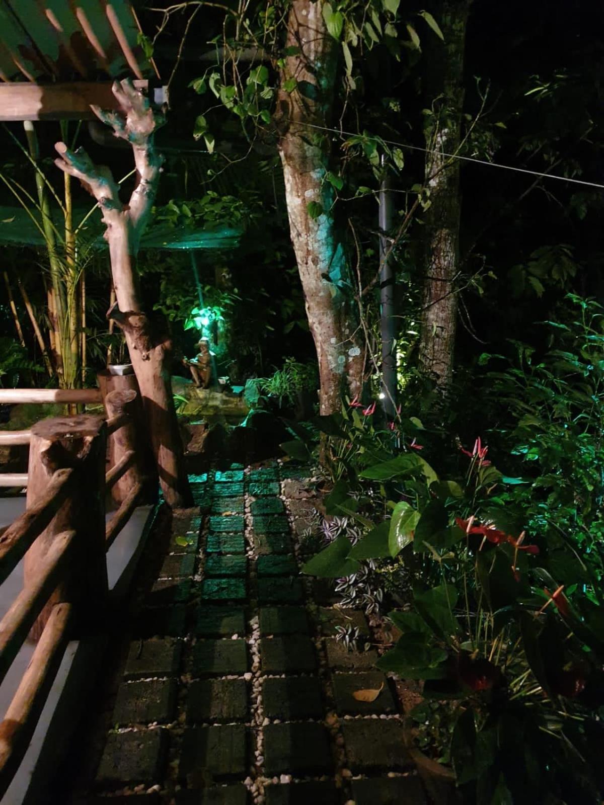 Treetops Ella Ngoại thất bức ảnh