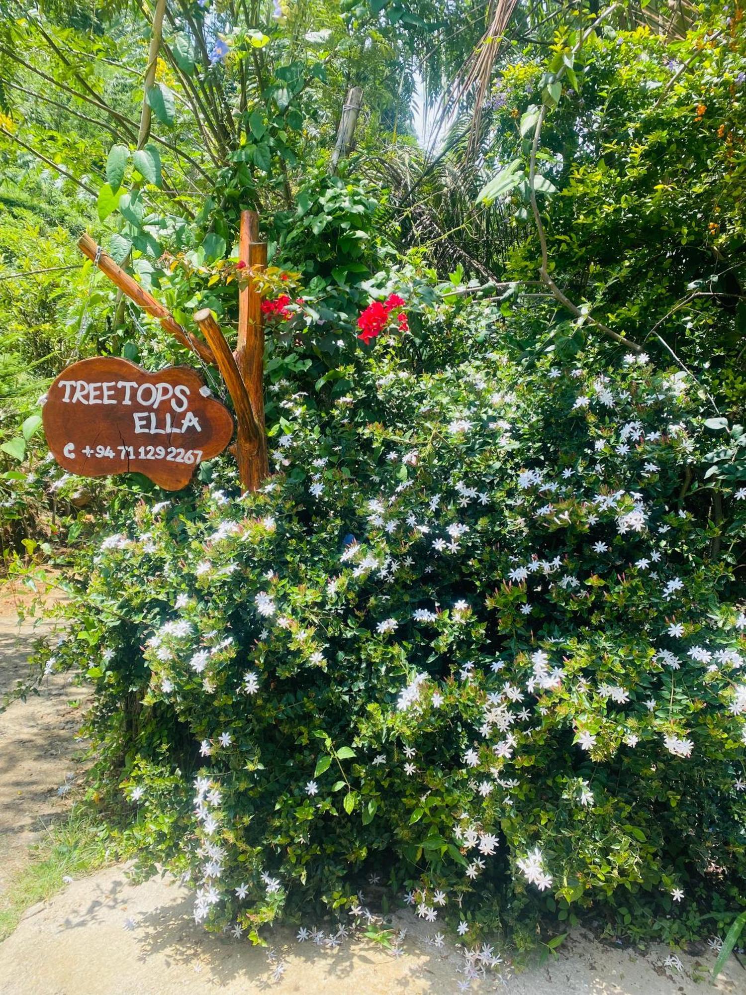 Treetops Ella Ngoại thất bức ảnh