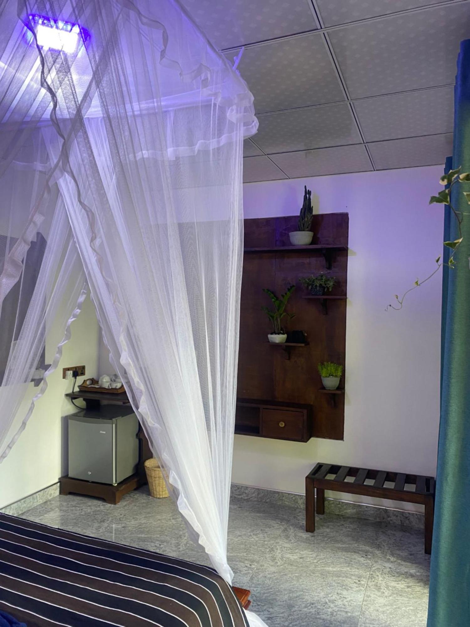 Treetops Ella Ngoại thất bức ảnh