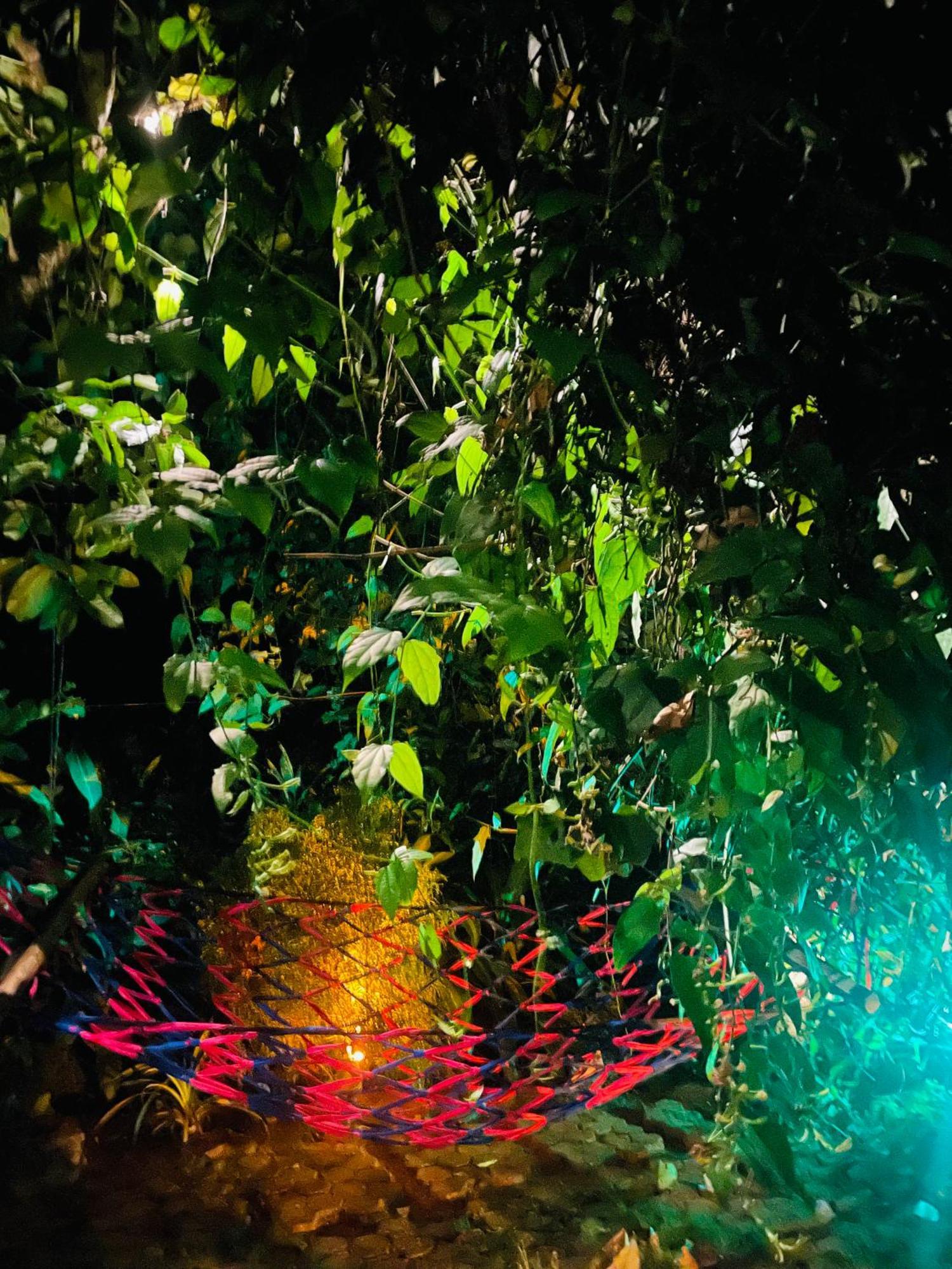 Treetops Ella Ngoại thất bức ảnh