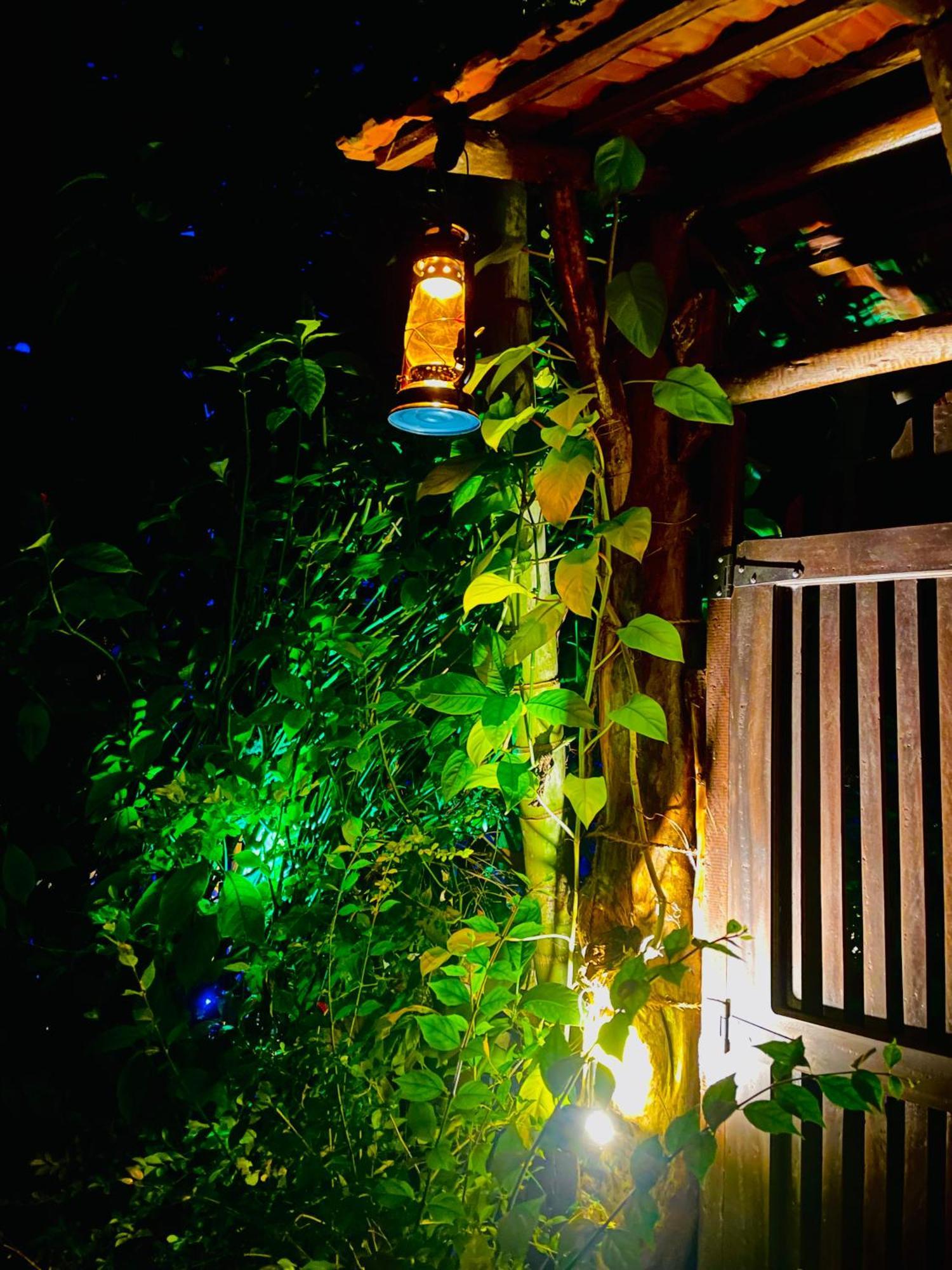 Treetops Ella Ngoại thất bức ảnh