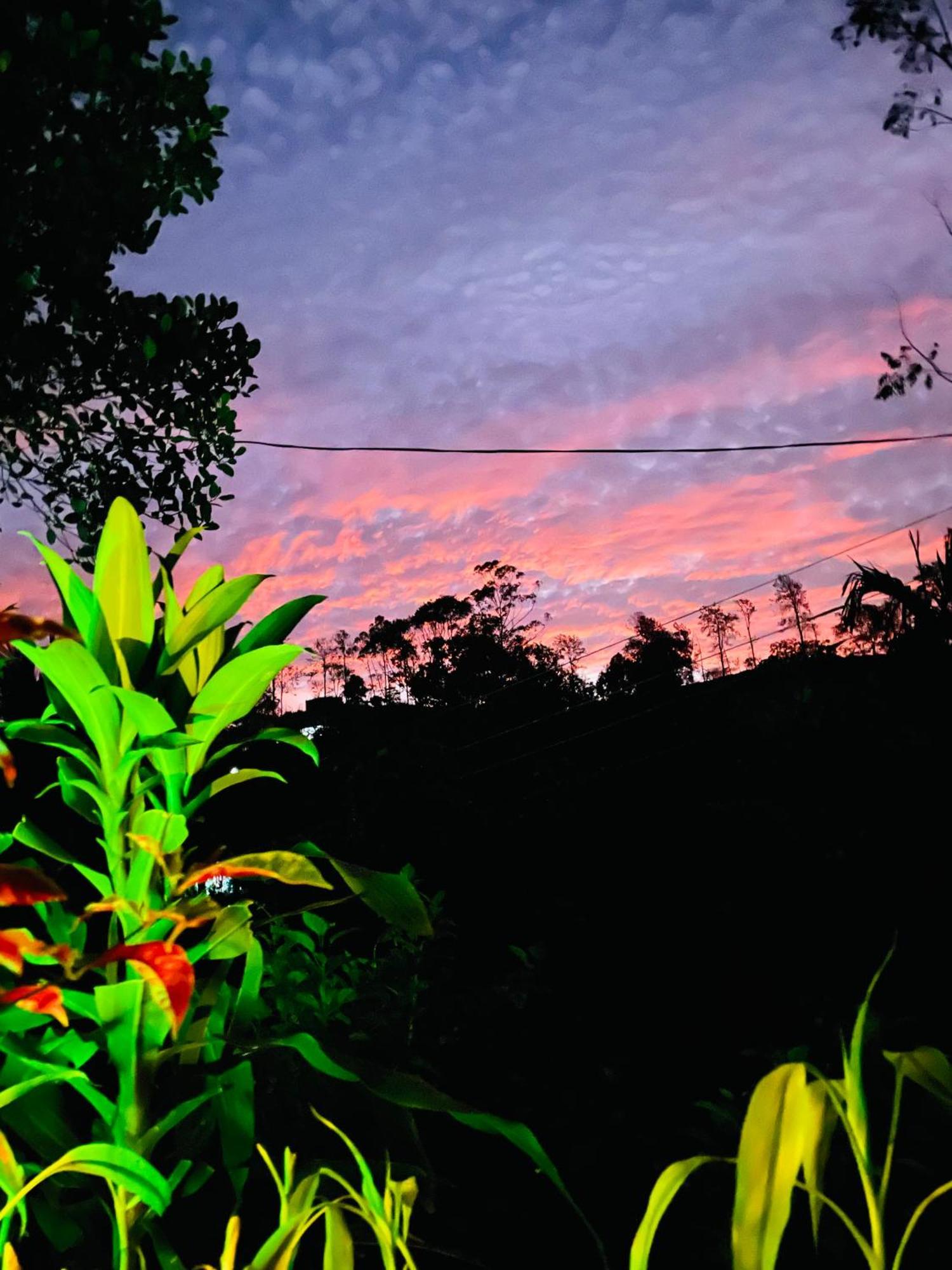 Treetops Ella Ngoại thất bức ảnh